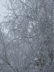 Similar image 21192661