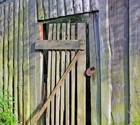 Similar image 21195223