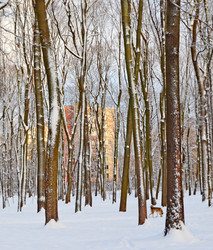 Similar image 21195224