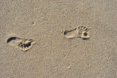 Similar image 21191200