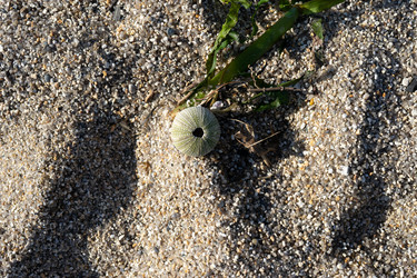 Similar image 21191201