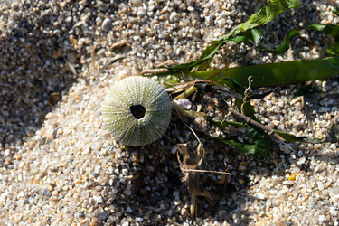 Similar image 21191202