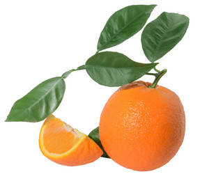 Similar image 21194706