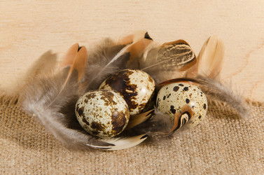 Similar image 21194707