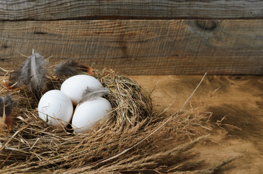 Similar image 21194716