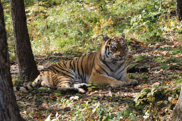 Similar image 21194719