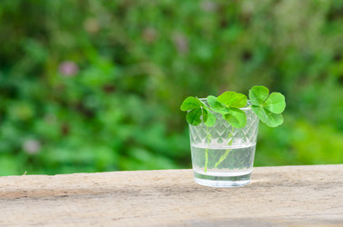 Similar image 21194724