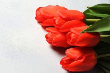 Similar image 21194733