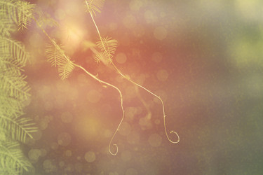 Similar image 21191216