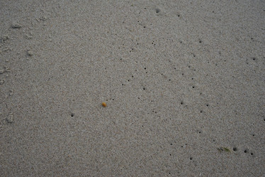 Similar image 21191227