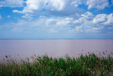 Similar image 21191265