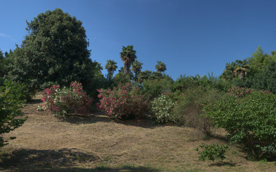 Similar image 21191278