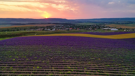 Similar image 21191316