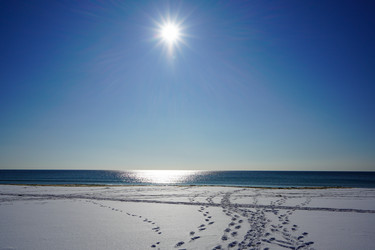 Similar image 21191321