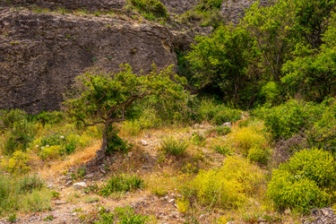 Similar image 21191323