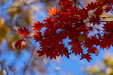 Similar image 21191332