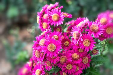 Similar image 21191335