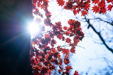 Similar image 21191337