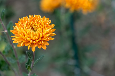 Similar image 21191345