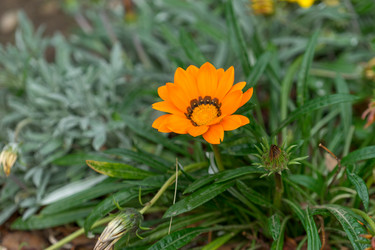 Similar image 21191346