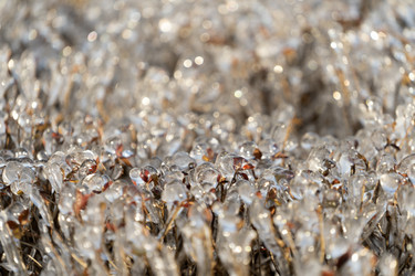 Similar image 21191351