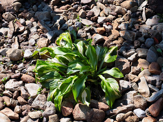 Similar image 21193866