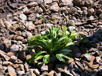 Similar image 21193868