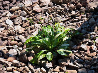 Similar image 21193878