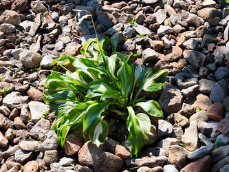 Similar image 21193883