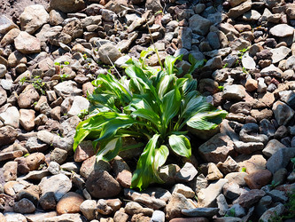 Similar image 21193887