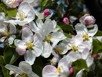 Similar image 21193907