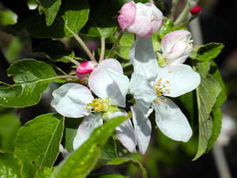 Similar image 21193910