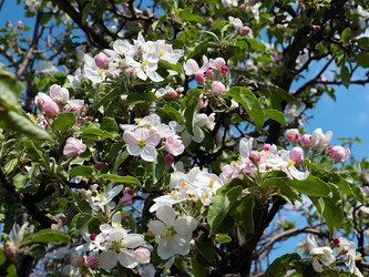 Similar image 21193912