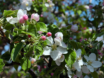 Similar image 21193913