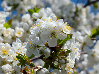 Similar image 21193915