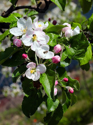 Similar image 21193917