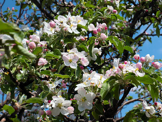 Similar image 21194030