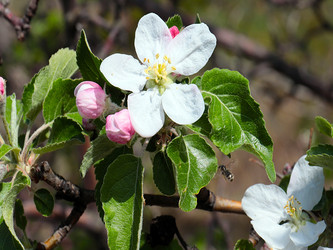 Similar image 21194031