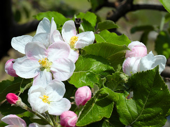 Similar image 21194033