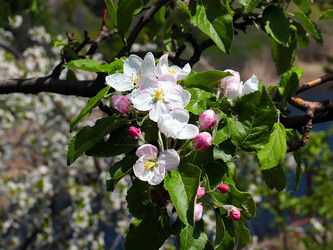 Similar image 21194037