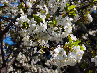 Similar image 21194038