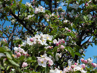 Similar image 21194039