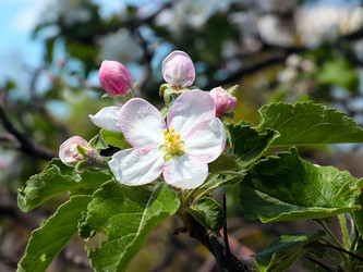 Similar image 21194040