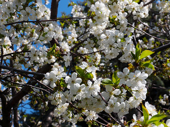 Similar image 21194041