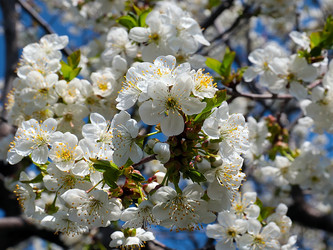 Similar image 21194042