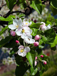 Similar image 21194043