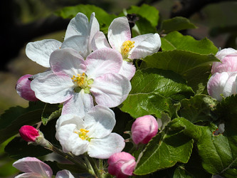 Similar image 21194045