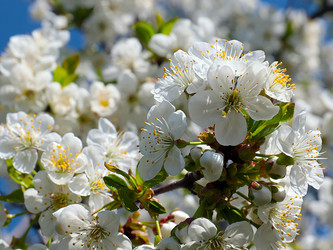 Similar image 21194046