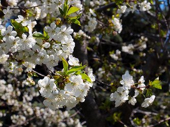 Similar image 21194047