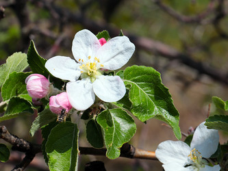 Similar image 21194048